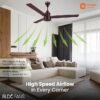 Orient Electric 1200 mm Zeno BLDC | BLDC energy saving ceiling fan with Remote |BEE 5-star rated - Image 2